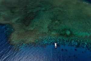 Forfait de 3 jours : récif, forêt tropicale et outback