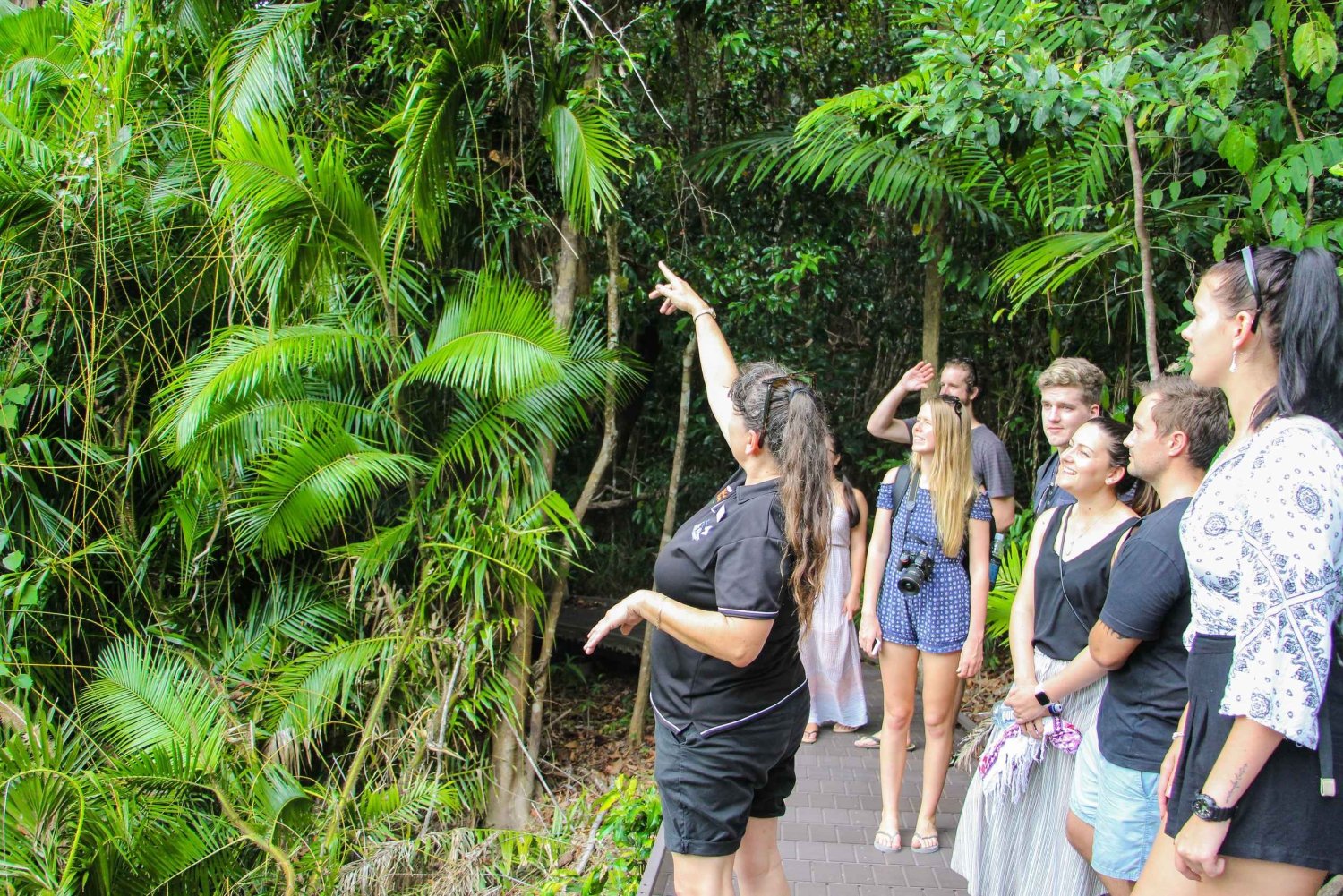 Cairnsista: Daintree Wilderness & Cape Tribulation -bussikierros