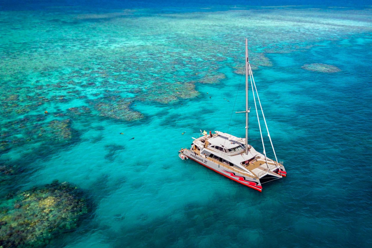 Vanuit Cairns: Cruise naar het Groot Barrièrerif per Premium Catamaran
