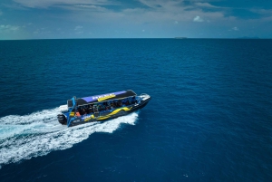 ケアンズ発：グレートバリアリーフ半日スノーケリングツアー