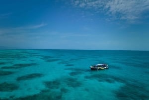 ケアンズ発：グレートバリアリーフ半日スノーケリングツアー