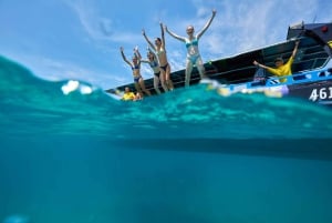 ケアンズ発：グレートバリアリーフ半日スノーケリングツアー