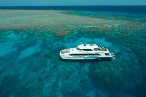 Cairns: 3 siti della Grande Barriera Corallina in 1 giorno con Silverswift