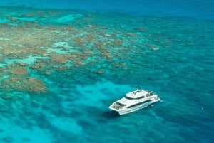 Cairns: 3 siti della Grande Barriera Corallina in 1 giorno con Silverswift