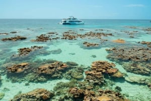 Cairns: 3 siti della Grande Barriera Corallina in 1 giorno con Silverswift