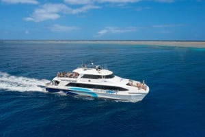 Cairns: 3 siti della Grande Barriera Corallina in 1 giorno con Silverswift