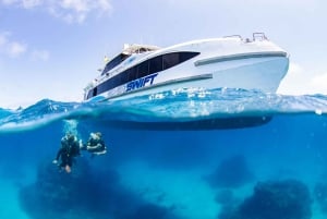 Cairns: 3 siti della Grande Barriera Corallina in 1 giorno con Silverswift