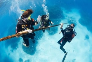 Cairns: 3 siti della Grande Barriera Corallina in 1 giorno con Silverswift