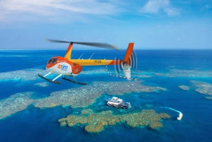 Fra Cairns: Moore Reef, Fitzroy Island Tour med helikopter