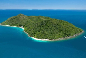 Fra Cairns: Moore Reef, Fitzroy Island Tour med helikopter