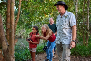 Au départ de Cairns : Visite de la forêt tropicale et de la faune nocturne