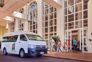 Au départ de Cairns : Visite de la forêt tropicale et de la faune nocturne