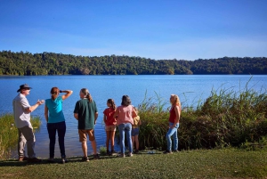 Au départ de Cairns : Visite de la forêt tropicale et de la faune nocturne
