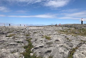 Da Dublino: Tour di 4 giorni della Grande Costa Atlantica