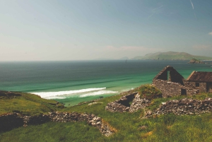 From Dublin: 5-Day Tour to the Southwest with Accommodation