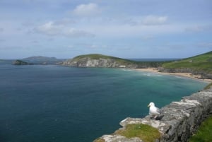 From Dublin: 5-Day Tour to the Southwest with Accommodation