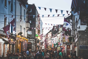 From Dublin: 5-Day Tour to the Southwest with Accommodation