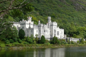 From Dublin: Connemara and Galway Bay Day Tour