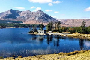 From Dublin: Connemara and Galway Bay Day Tour