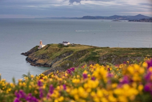 From Dublin: Half-Day Guided Coastal Tour to Howth Village