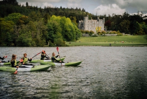 From Dublin: Sit on Top Kayak Experience