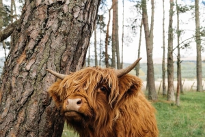 Fra Edinburgh: 2-dages ultimativ Highland-tur med hotel