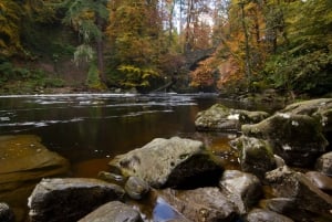 From Edinburgh: Best of Scotland Small-Group Day Tour