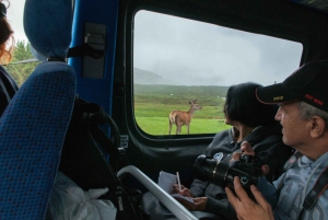 From Edinburgh: Loch Ness and The Highlands Tour with Cruise