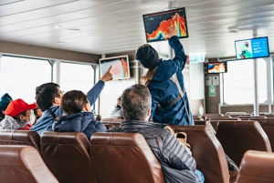 From Edinburgh: Loch Ness & Scottish Highlands Tour