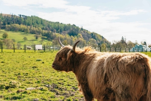 From Edinburgh: Loch Ness & Scottish Highlands Tour