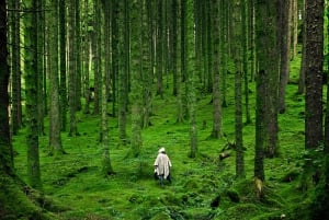 Au départ d'Édimbourg : Visite privée des Highlands et de l'île de Skye
