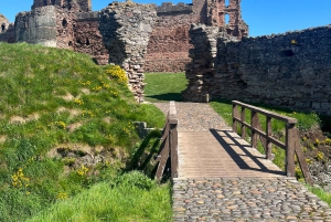 Vanuit Edinburgh: Dagtrip Schotse Hooglanden