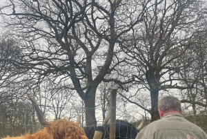 Vanuit Edinburgh: Dagtrip Schotse Hooglanden