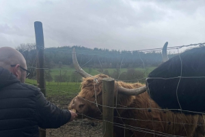 Vanuit Edinburgh: Dagtrip Schotse Hooglanden