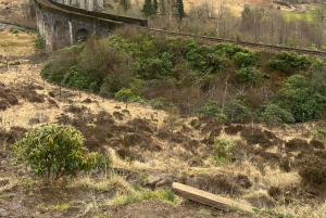 Vanuit Edinburgh: Dagtrip Schotse Hooglanden