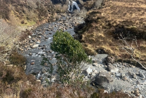 Vanuit Edinburgh: Dagtrip Schotse Hooglanden