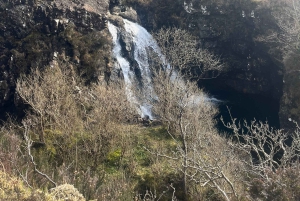 Vanuit Edinburgh: Dagtrip Schotse Hooglanden