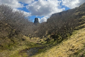 Vanuit Edinburgh: Dagtrip Schotse Hooglanden