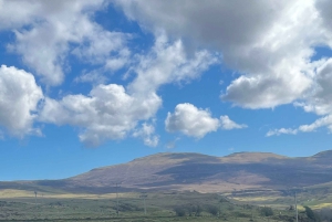 Vanuit Edinburgh: Dagtrip Schotse Hooglanden