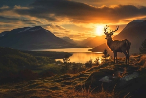 Vanuit Edinburgh: De Kelpies, Glencoe & Loch Lomond dagtour