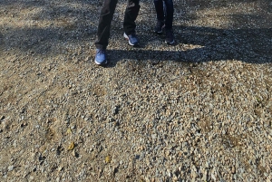 エディンバラ発：ウェスト・ハイランド 贅沢プライベート日帰りツアー