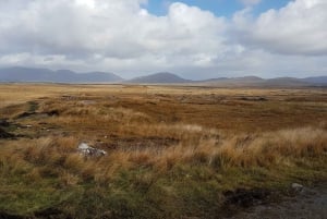Fra Galway: Dagstur til Connemara og Kylemore Abbey