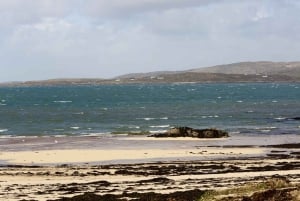 Fra Galway: Dagstur til Connemara og Kylemore Abbey