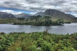 Fra Galway: Dagstur til Connemara og Kylemore Abbey