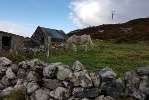 Von Galway aus: Connemara und Kylemore Abbey Tagestour