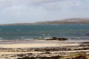 Von Galway aus: Connemara und Kylemore Abbey Tagestour