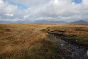 Von Galway aus: Connemara und Kylemore Abbey Tagestour