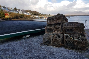 Von Galway aus: Connemara und Kylemore Abbey Tagestour