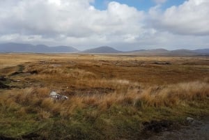 From Galway: Connemara and Kylemore Abbey Day Tour