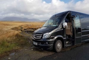 From Galway: Connemara and Kylemore Abbey Day Tour